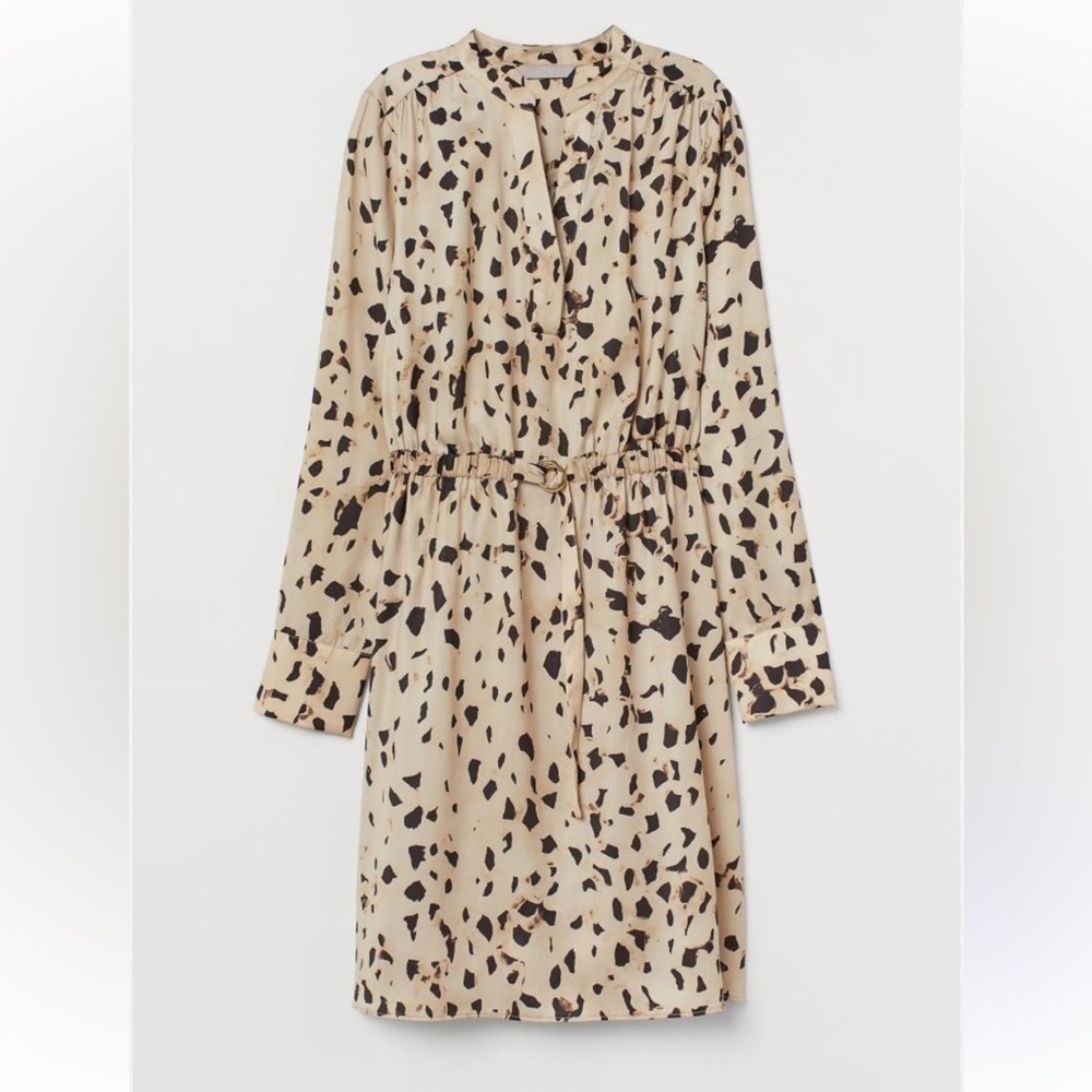 H&M V- Neck Shirt Dress
